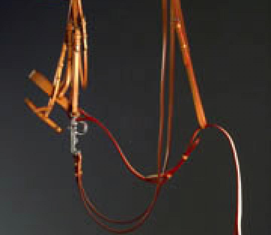 TEXAS POLO PELHAM BRIDLE