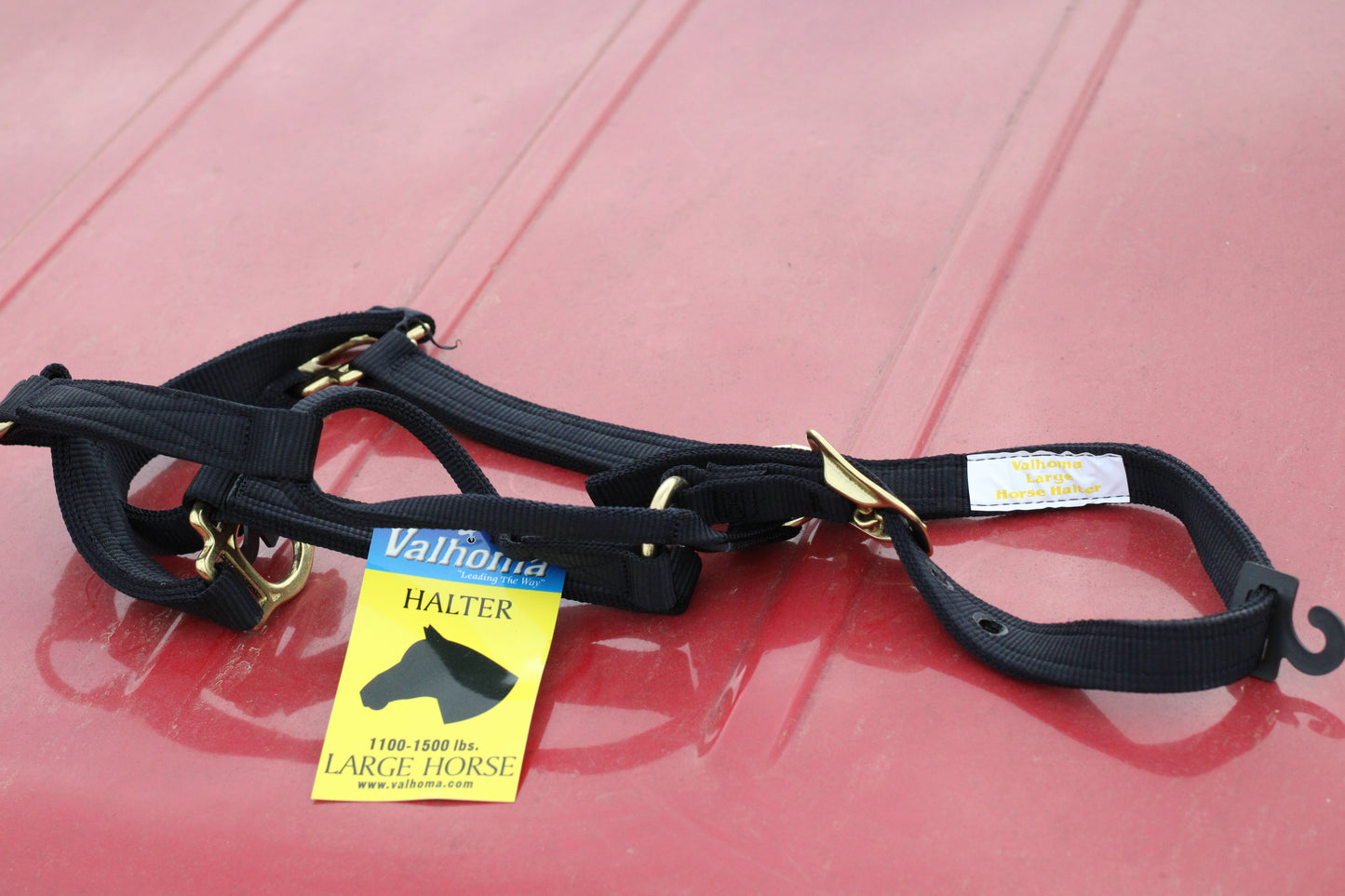 Black horse halter with gold hardware sitting on a red surface.