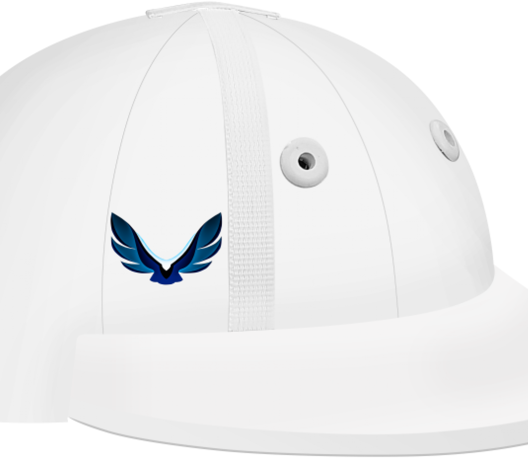 INSTINCT HELMET