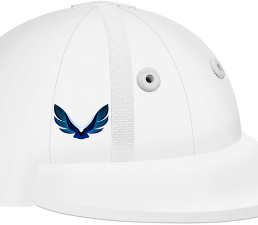 INSTINCT HELMET