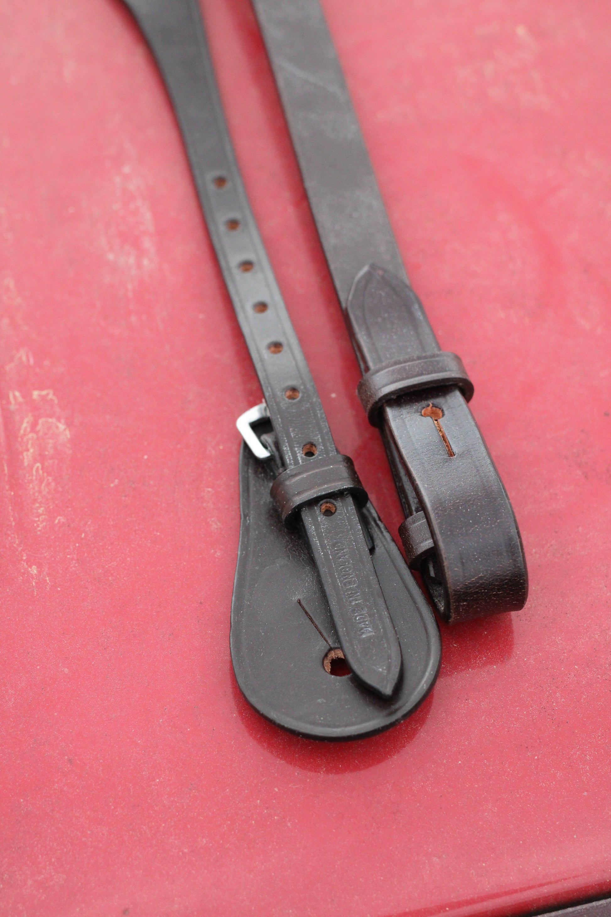 Close up of cheeks buckles on a red surface.