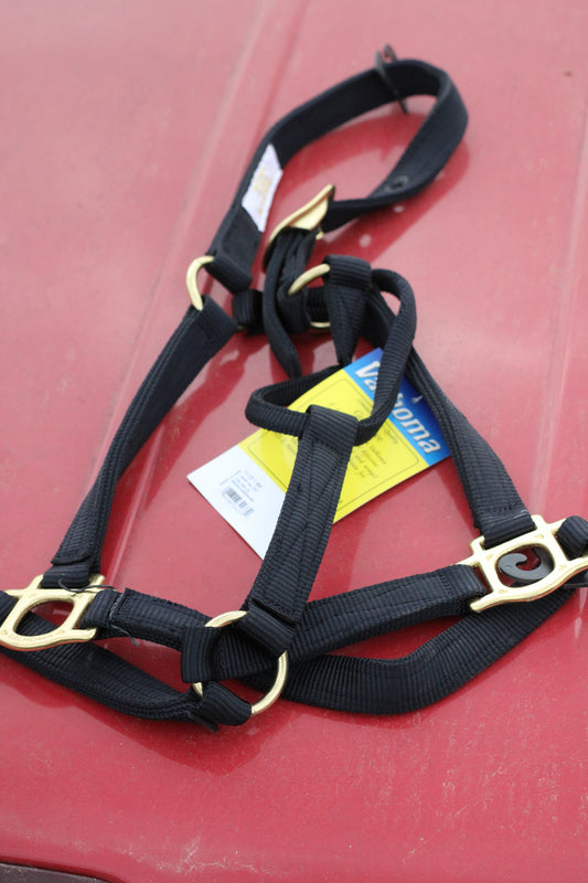 Black horse halter with gold hardware sitting on a red surface.