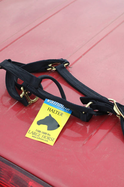 Black horse halter with gold hardware sitting on a red surface.