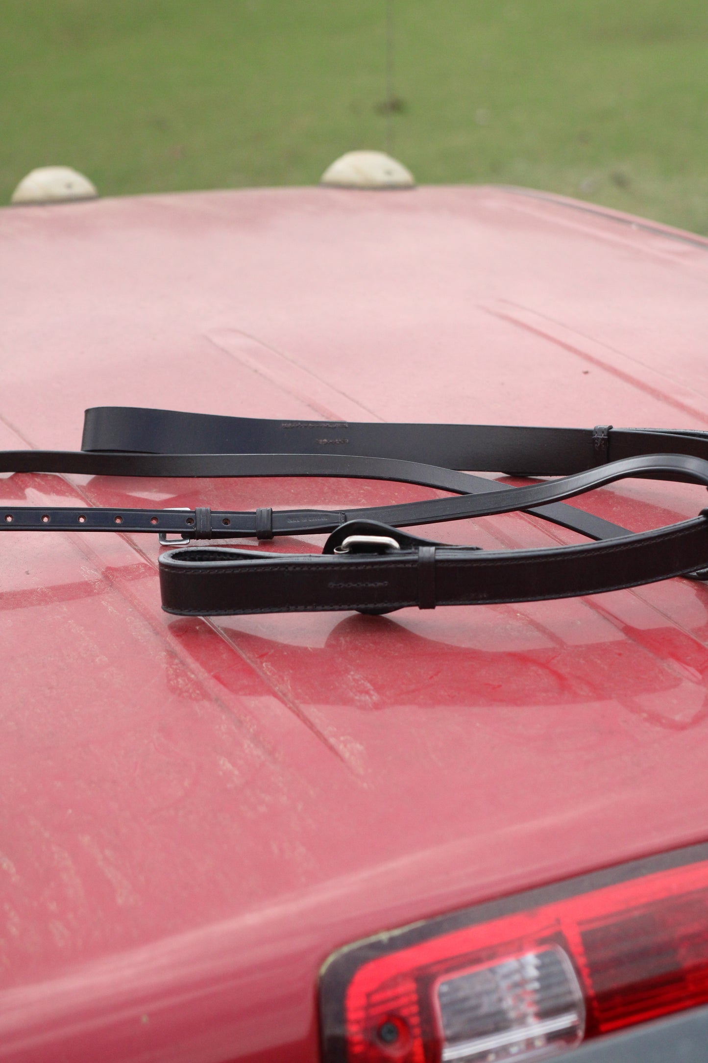 Side view of a leather martingale on a red surface.