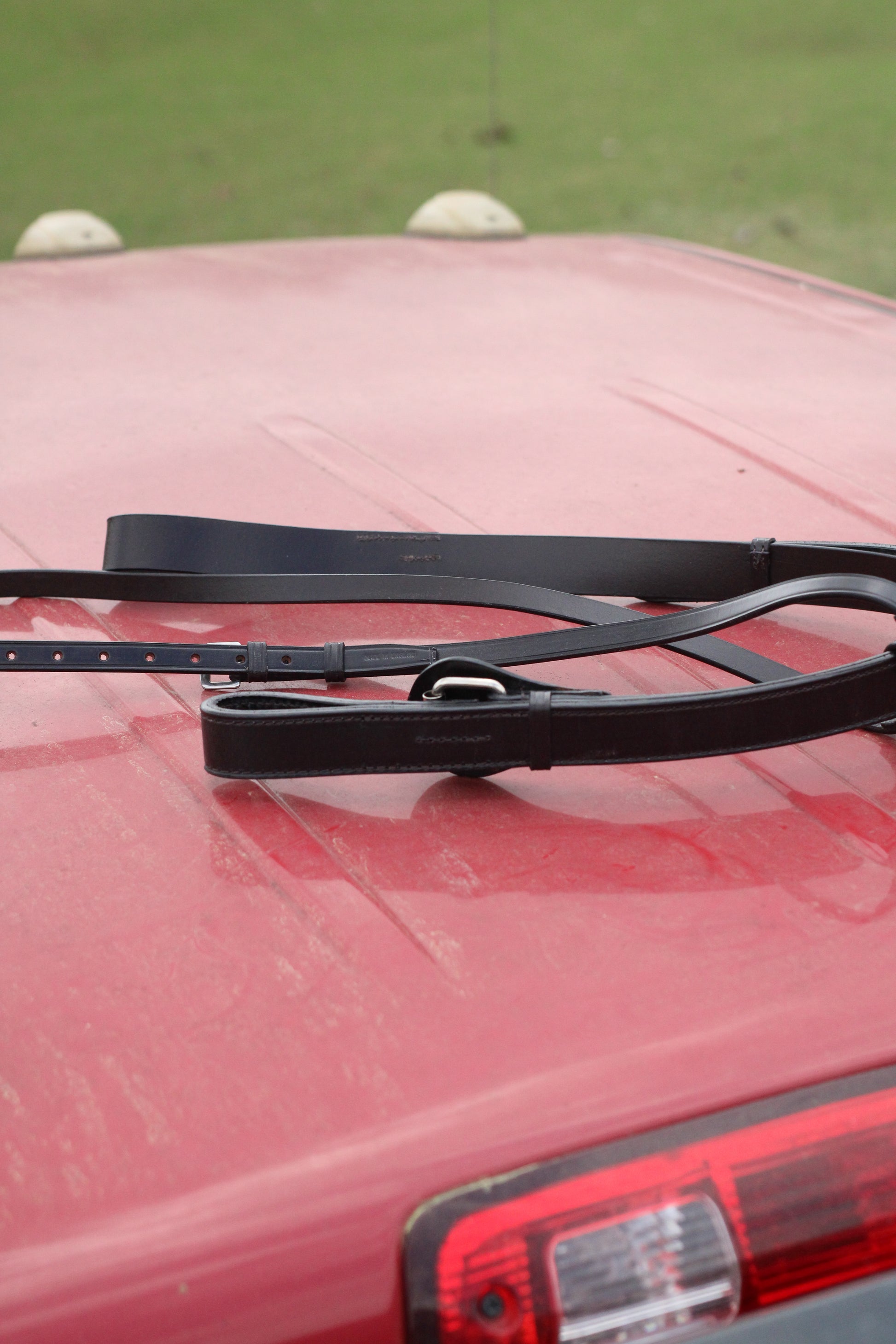 Side view of a leather martingale on a red surface.