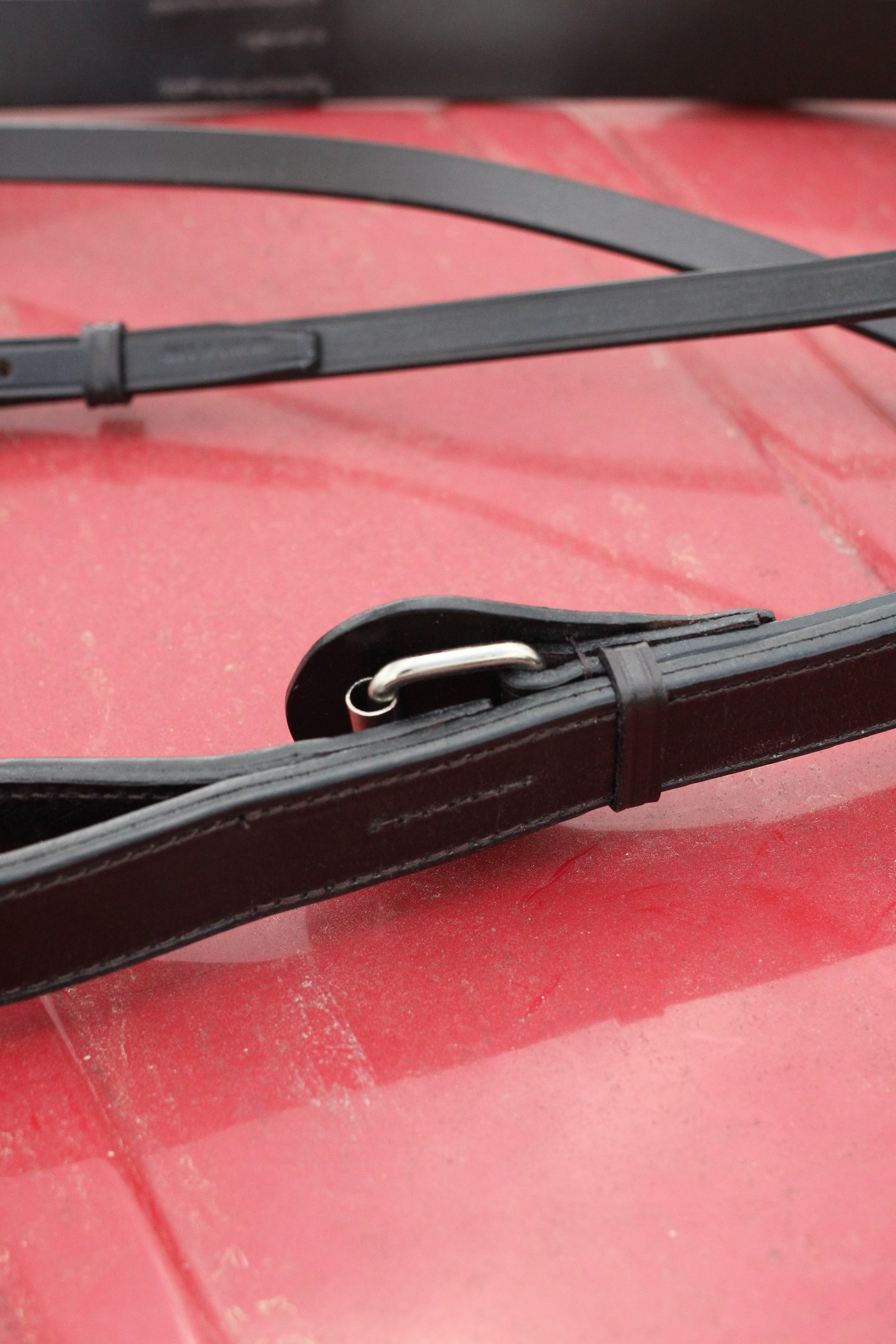 Close up of a leather martingale on a red surface.