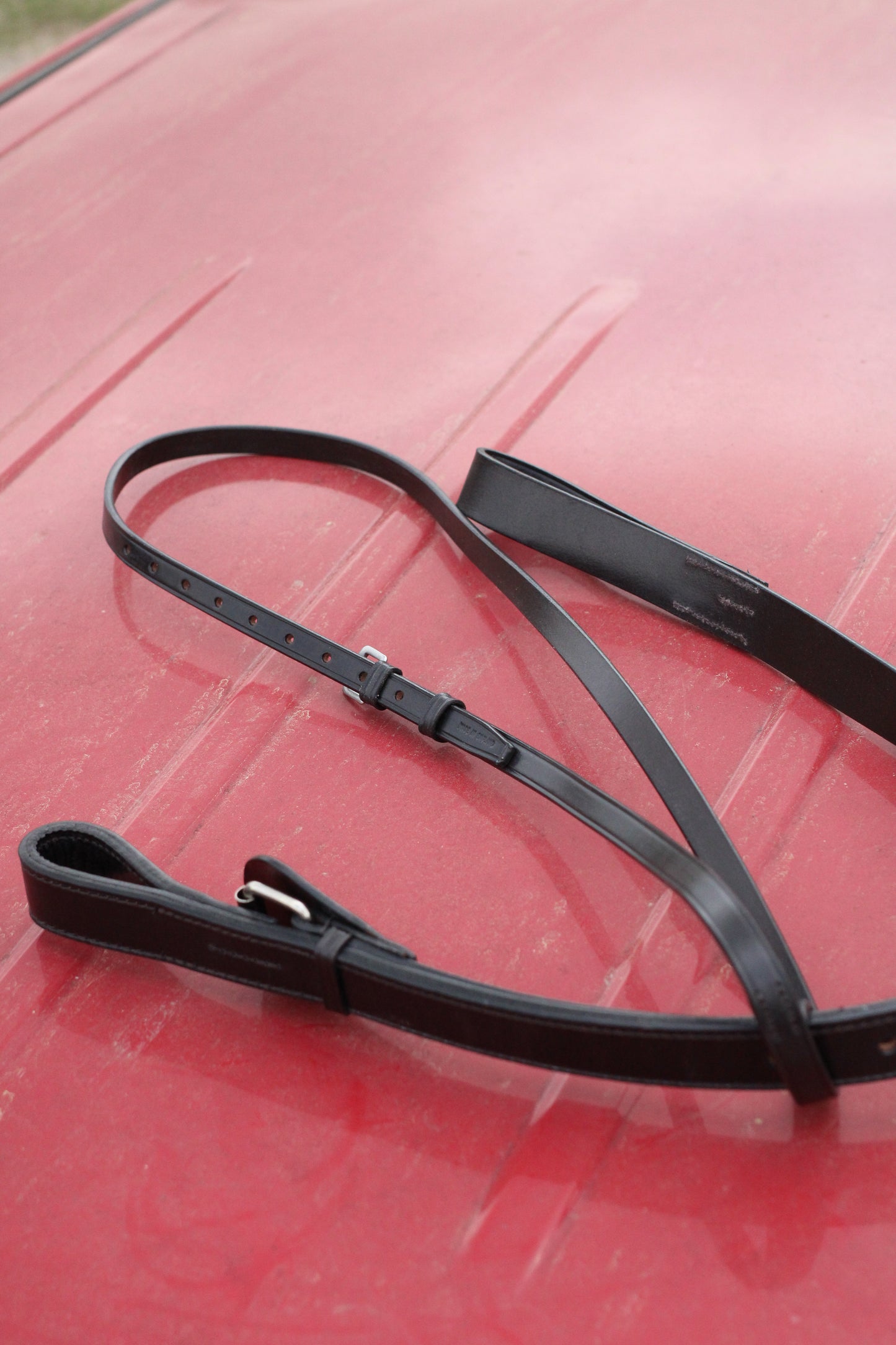 Leather martingale on a red surface.