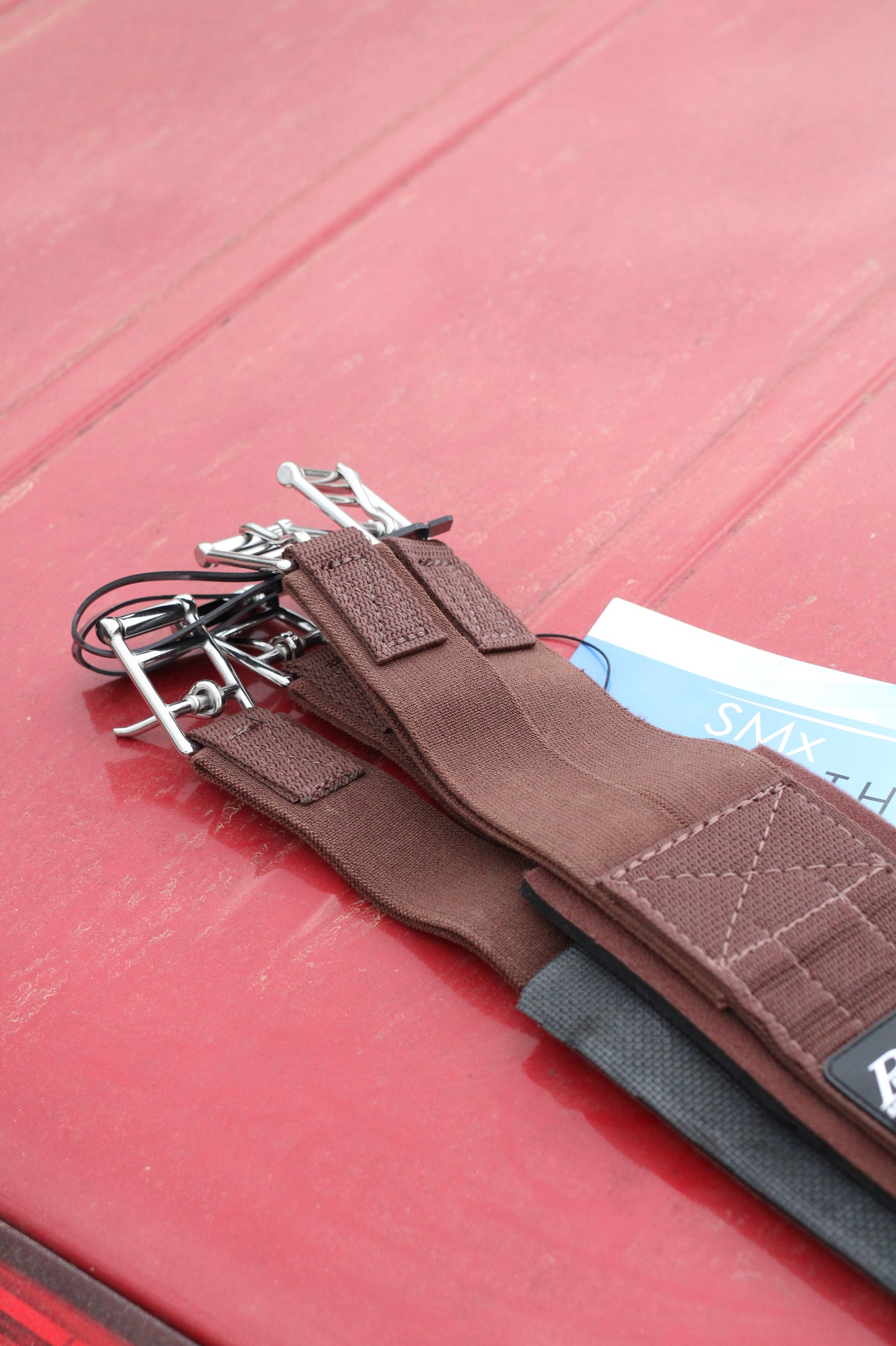 Closeup of buckles on overgirth.