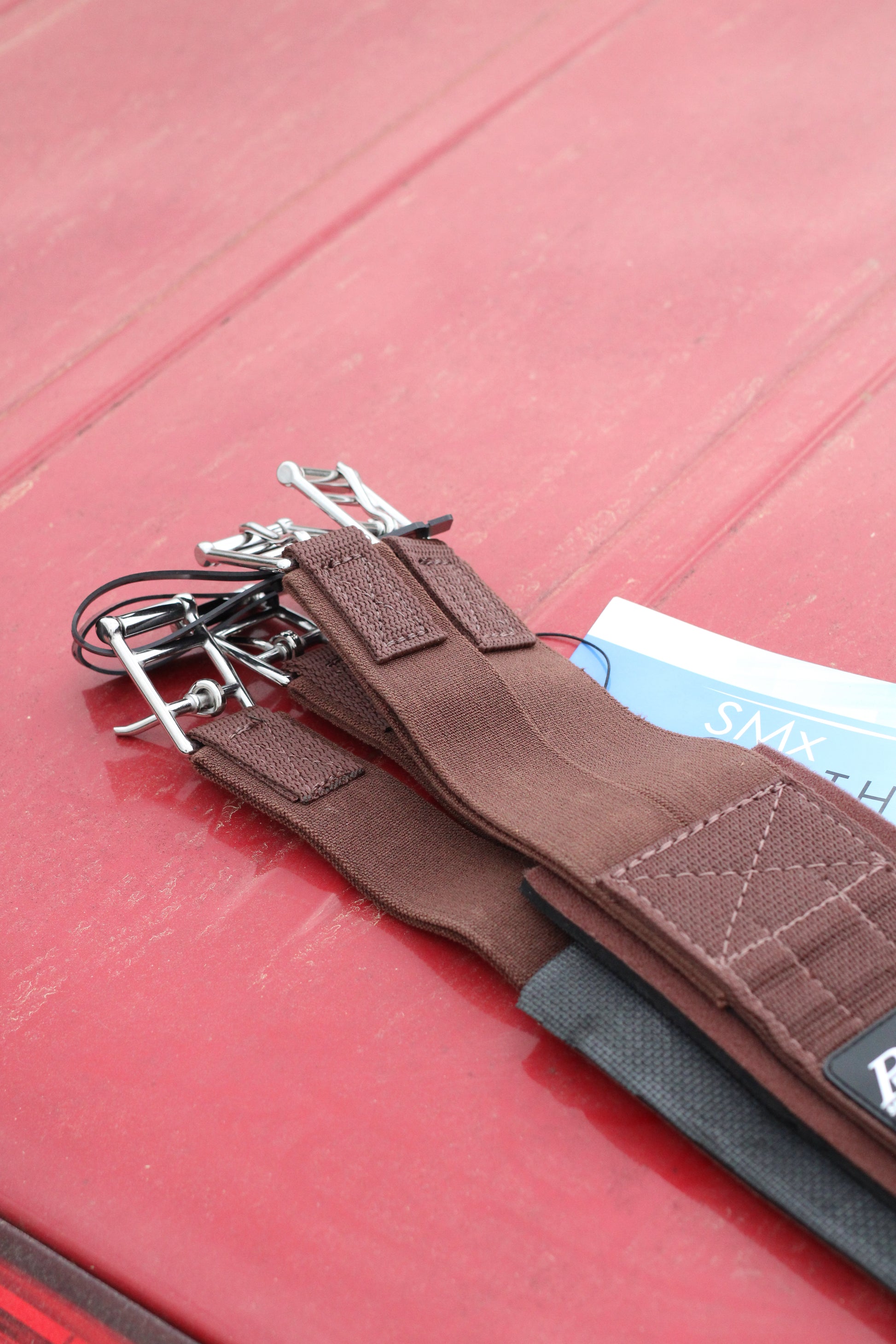 Closeup of buckles on overgirth.