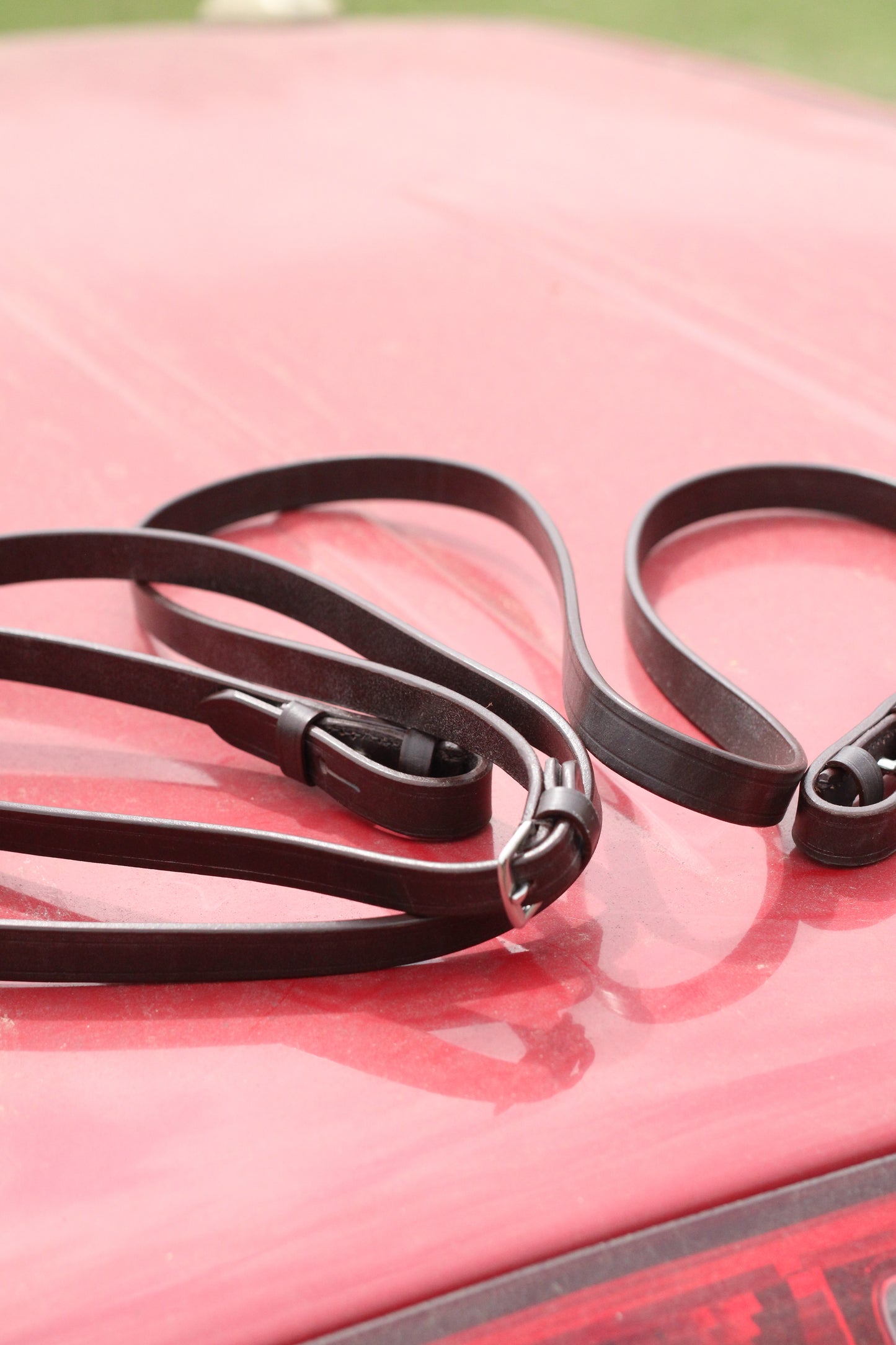 Brown leather straight reins sitting on a red surface.