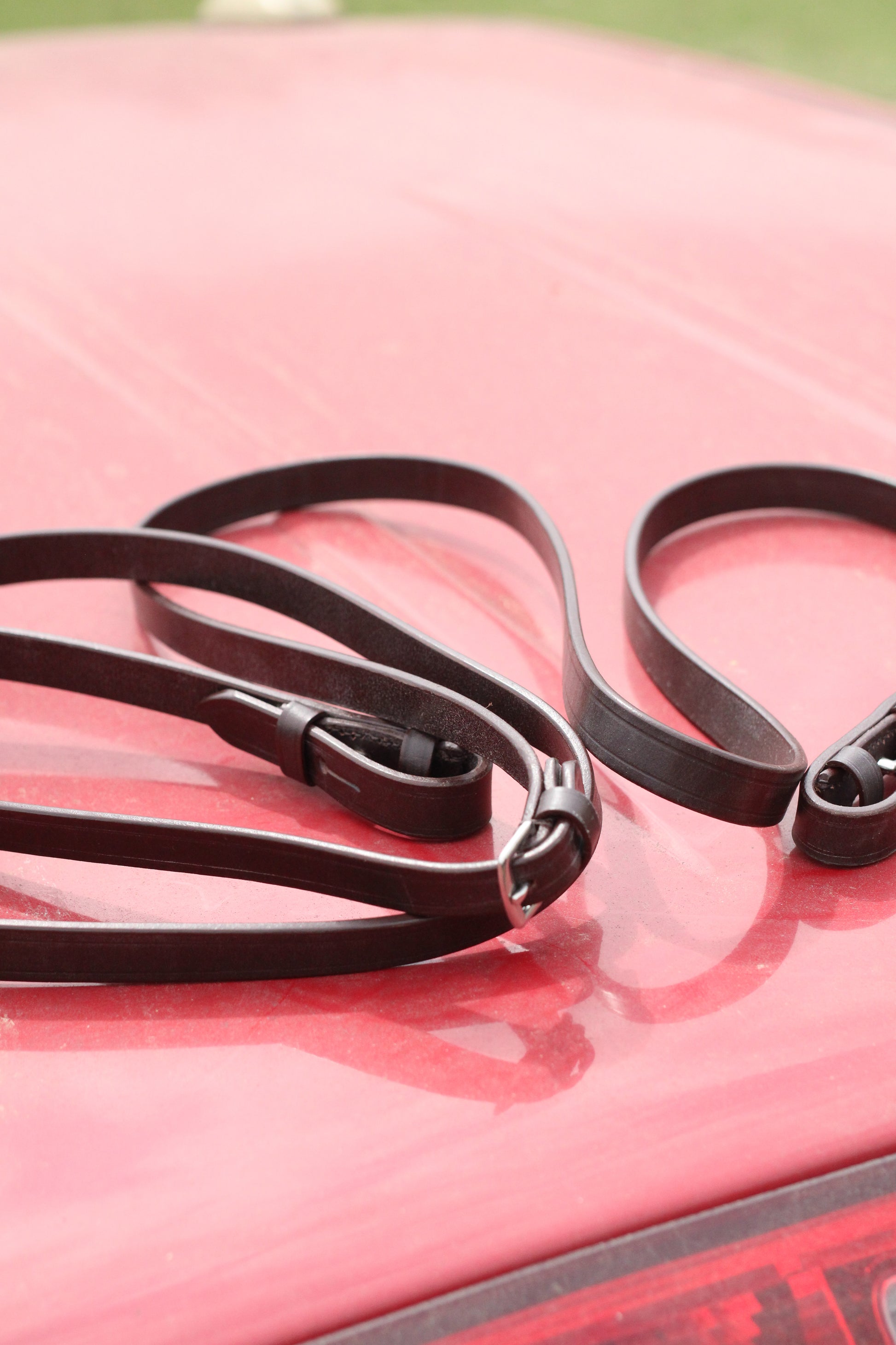 Brown leather straight reins sitting on a red surface.