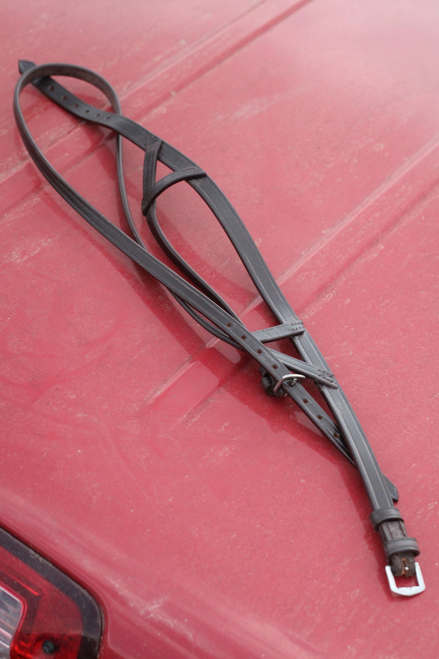 Brown leather Texan dropnose band sitting on a red surface.