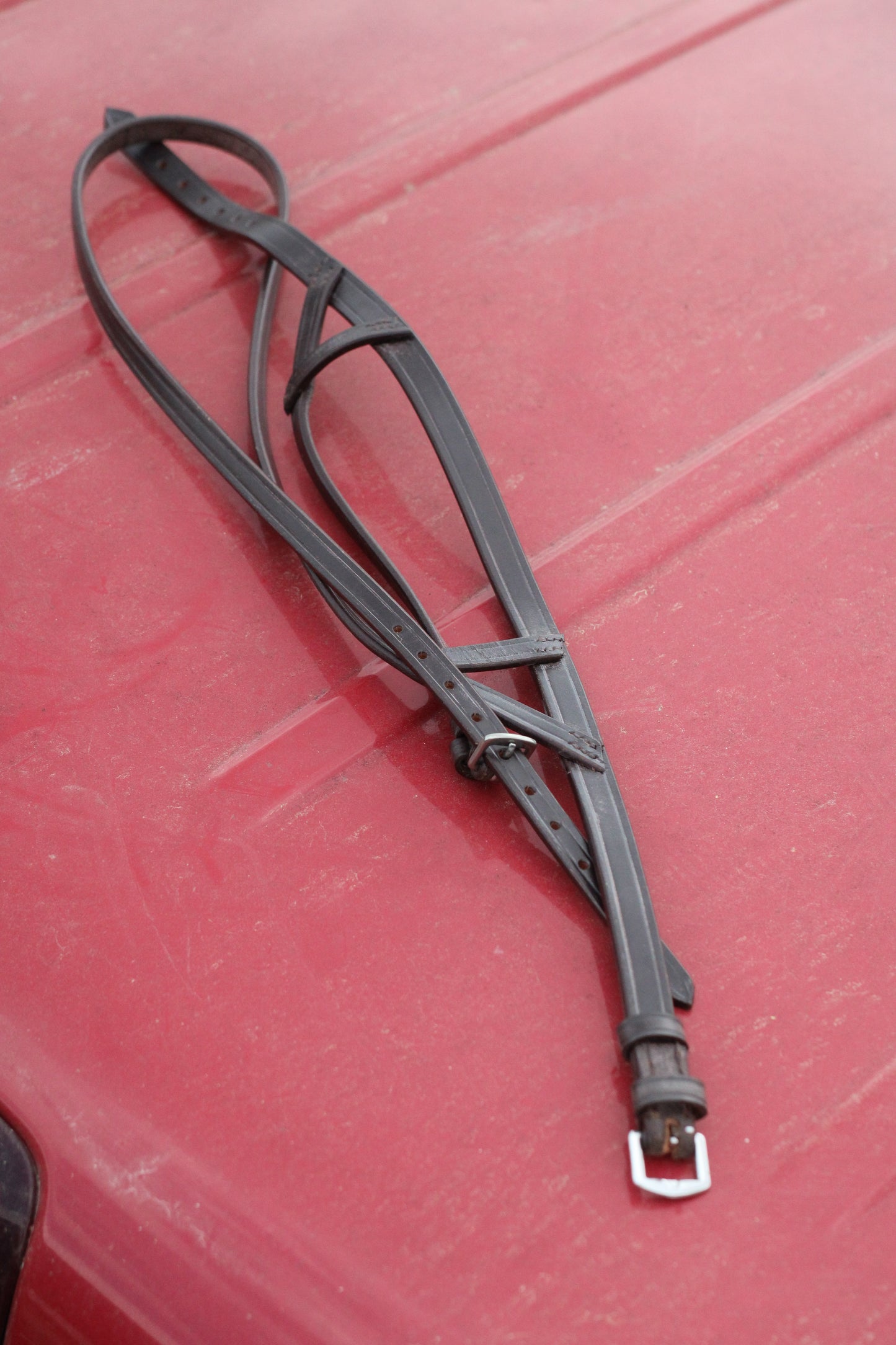 Brown leather Texan dropnose band sitting on a red surface.