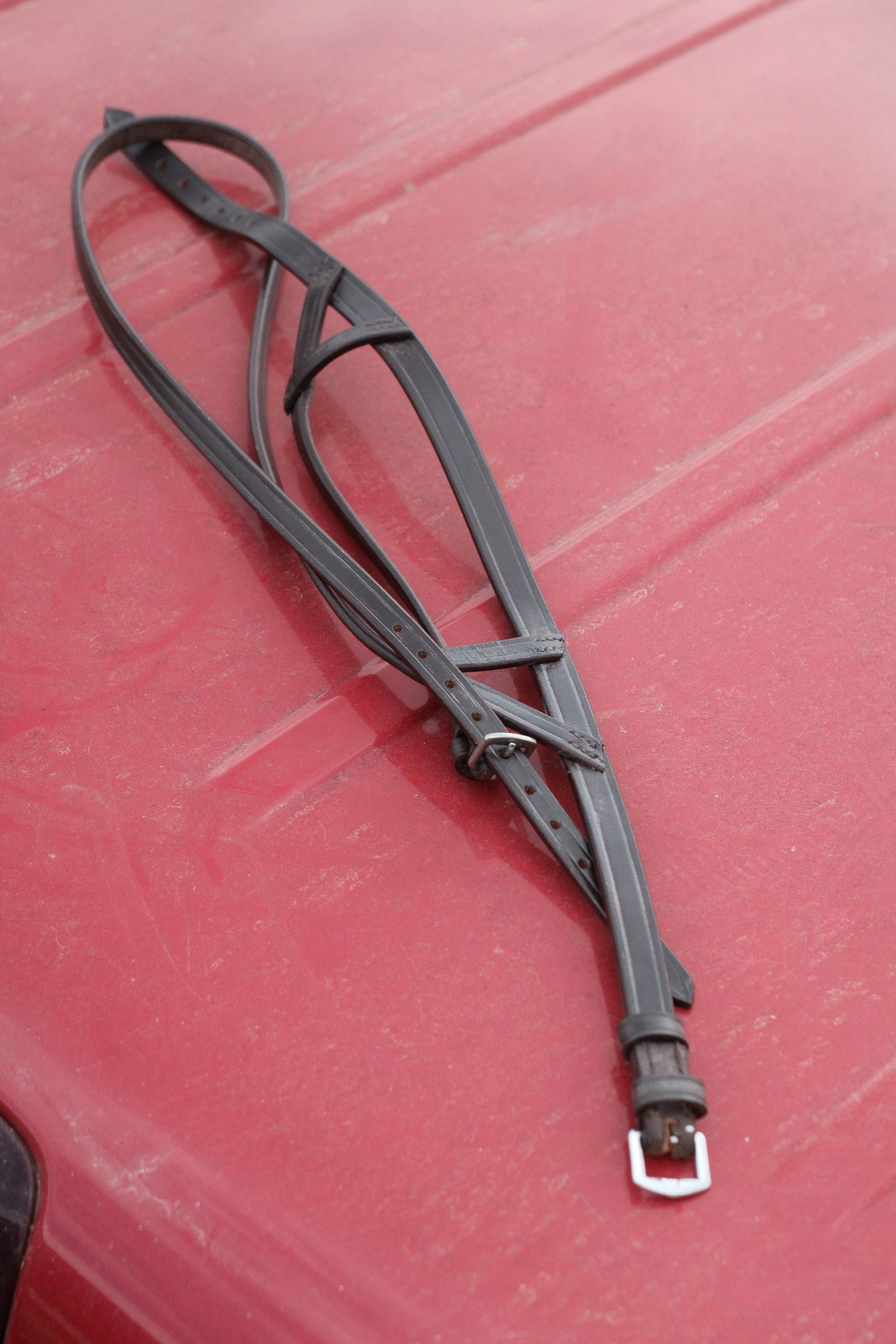 Brown leather Texan dropnose band sitting on a red surface.