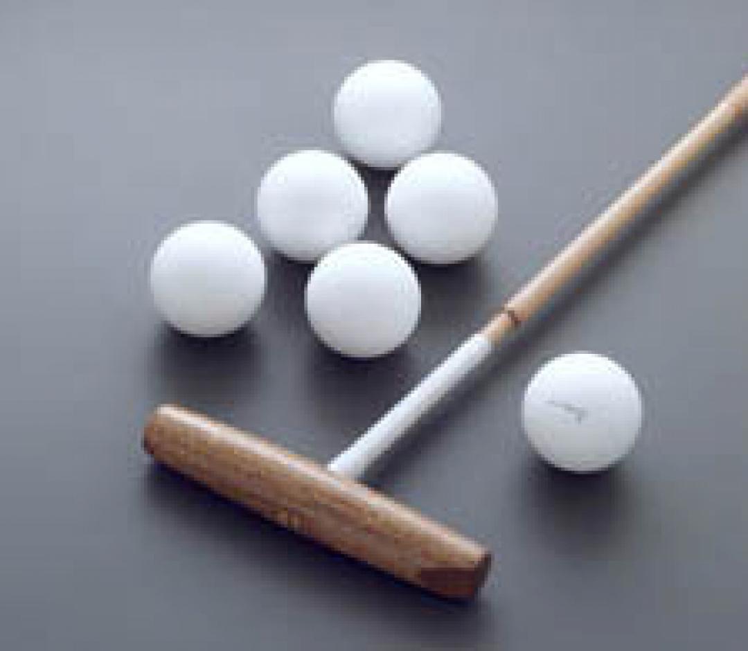 TEXAS POLO POLO BALLS